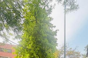 अभाविप ने महाविद्यालय से संबंधित समस्याओं को लेकर 30 से अधिक महाविद्यालयों में किया आंदोलन