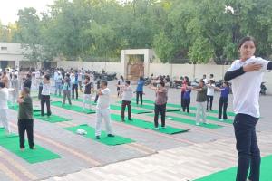 Palwal News: आयुष विभाग पलवल द्वारा पीटीआई डीपीआई के लिए  योग प्रोटोकॉल कार्यक्रम का शुभारंभ
