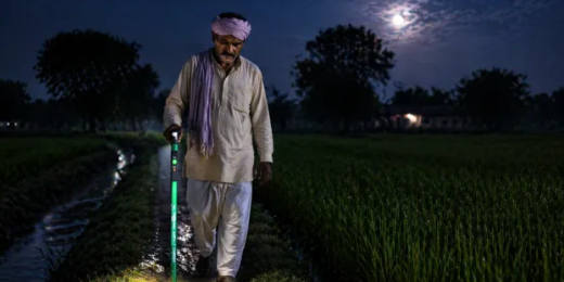  भारतीय वैज्ञानिकों ने बनाई जादुई छड़ी, डर कर दूर भाग जाएंगे सांप !