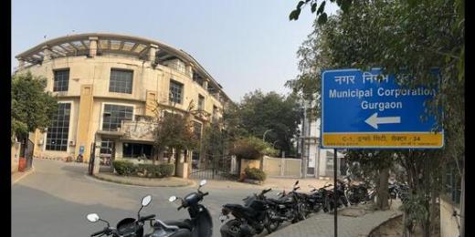Gurugram News: अब चलेगा "खतरनाक" कुत्तों को पकड़ने का अभियान 