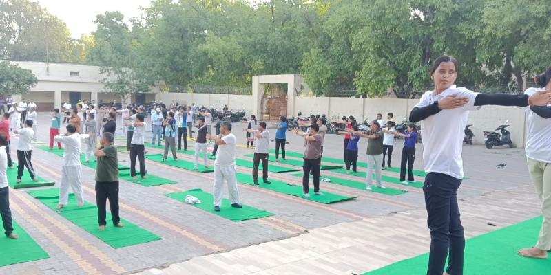 Palwal News: आयुष विभाग पलवल द्वारा पीटीआई डीपीआई के लिए  योग प्रोटोकॉल कार्यक्रम का शुभारंभ